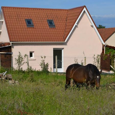 Le Paddock Des Caloges Βίλα Le Tilleul Εξωτερικό φωτογραφία